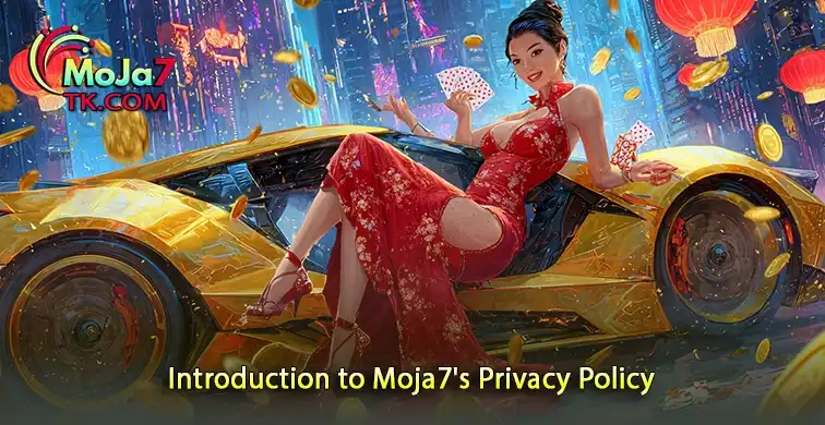 Exploring the Moja7 Privacy Policy Basics